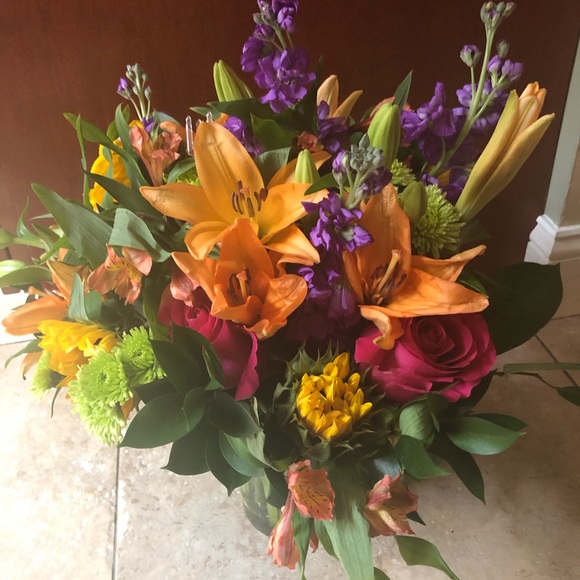 Meet your Posher, Marianne - Picture 4 of 6